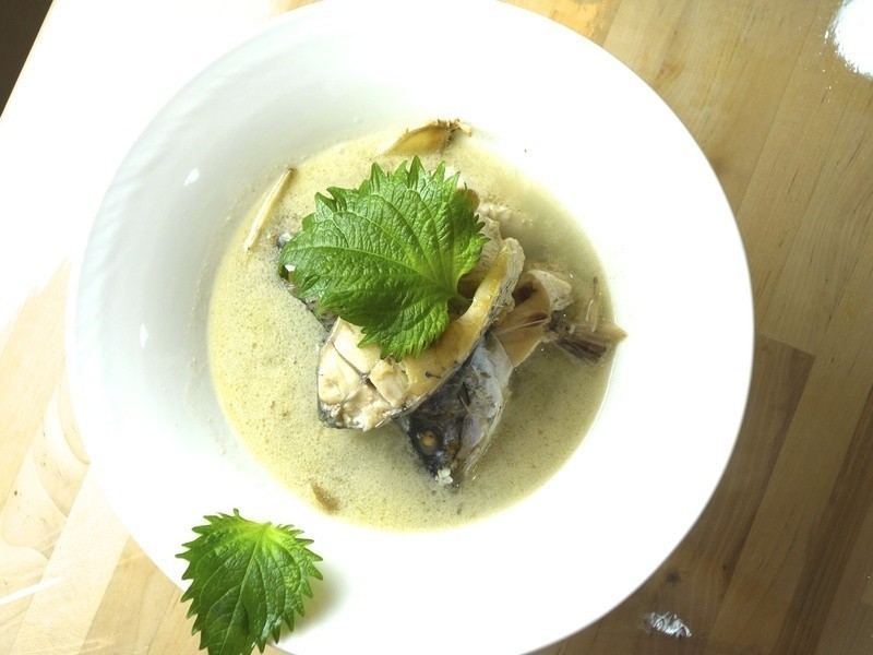 ����������������