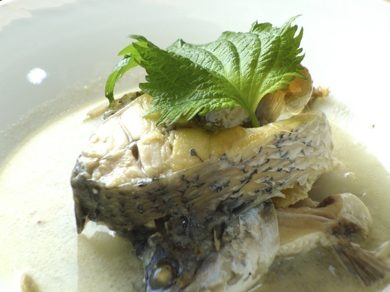 ����������������