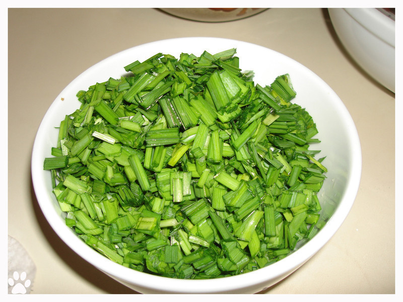 Ƥ���ڶ�ľ²˺��ӵ�����