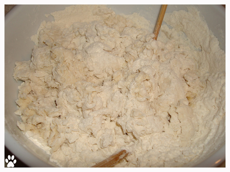 Ƥ���ڶ�ľ²˺��ӵ�����