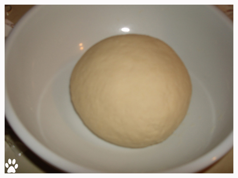 Ƥ���ڶ�ľ²˺��ӵ�����