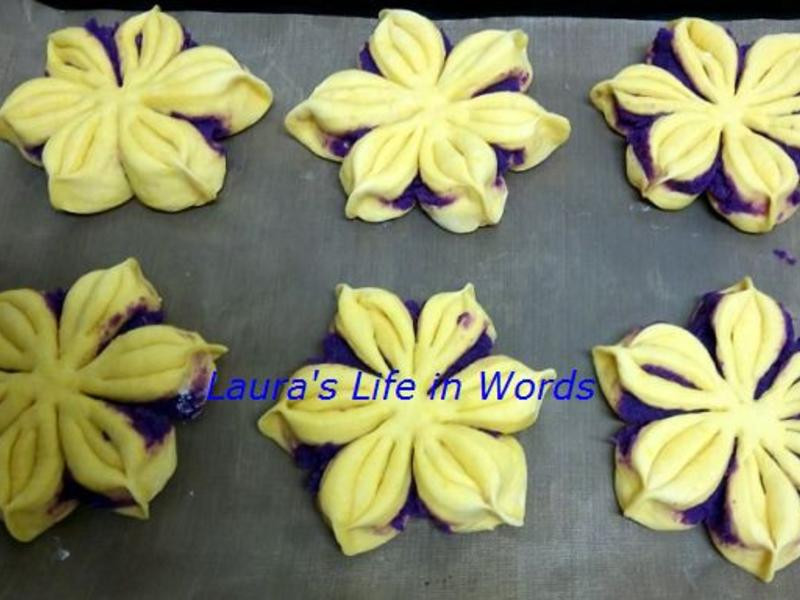 �Ϲ������������������