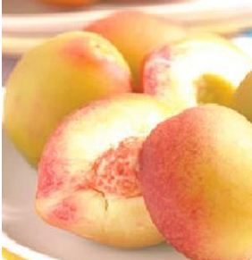 �������ӵ�����