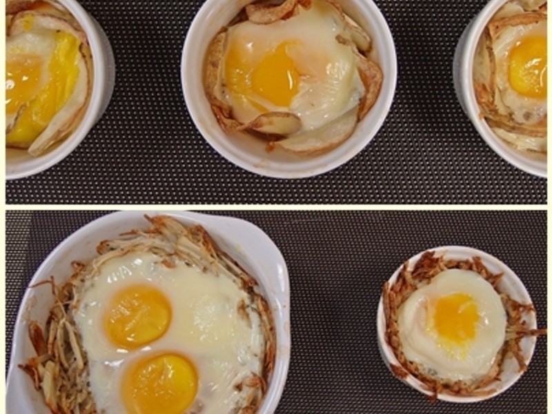 ���������񳲵���������