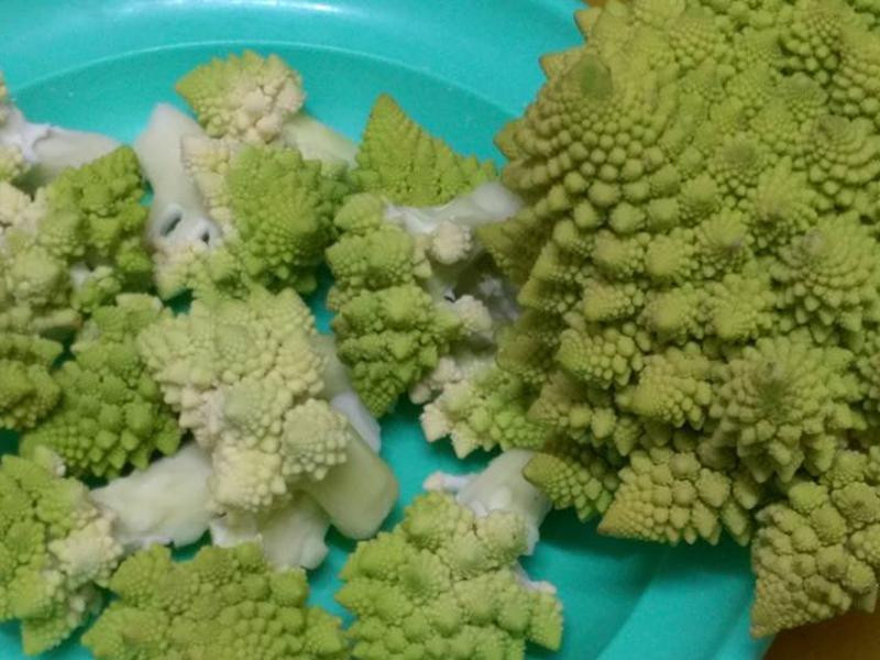 �������ʯ��Ҭ�˵�����