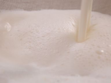 ��������¶������