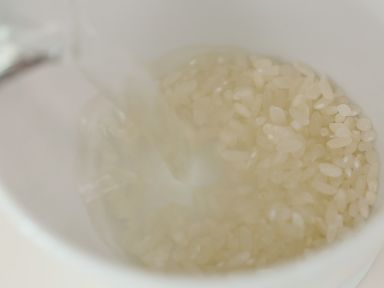 ��������¶������