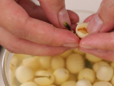 ��������¶������