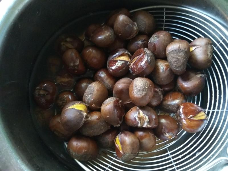 ҹ����ʳ�ǳ����ӵ�����