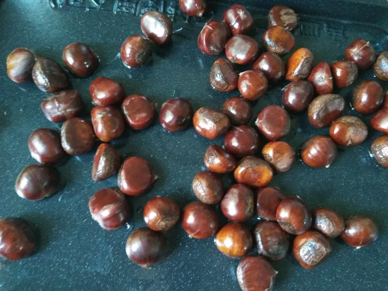 ҹ����ʳ�ǳ����ӵ�����