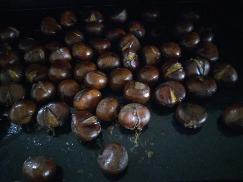 ҹ����ʳ�ǳ����ӵ�����