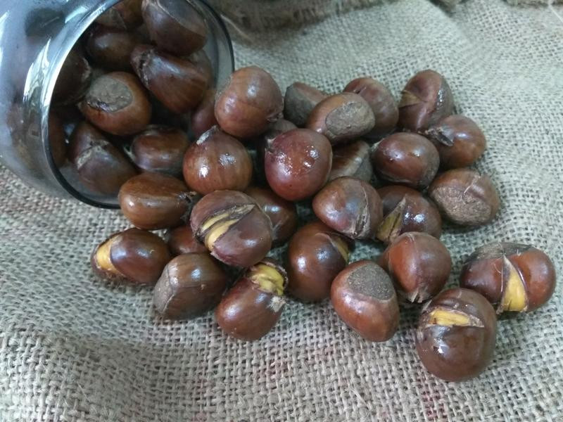 ҹ����ʳ�ǳ����ӵ�����