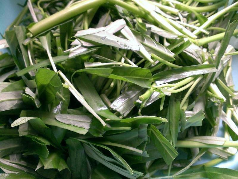 �ɹſ��������