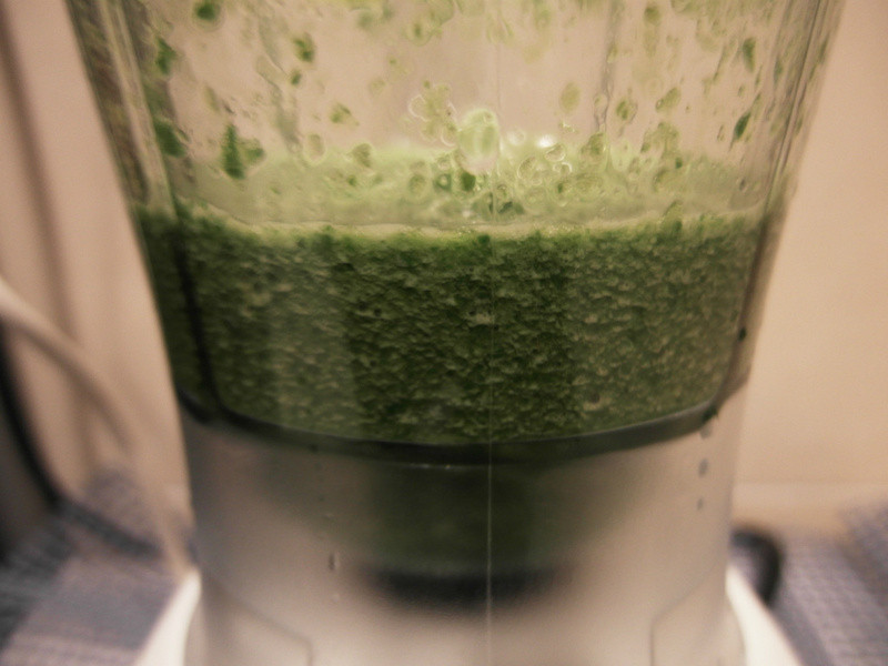 ���̵ƾ��ֲ�����������