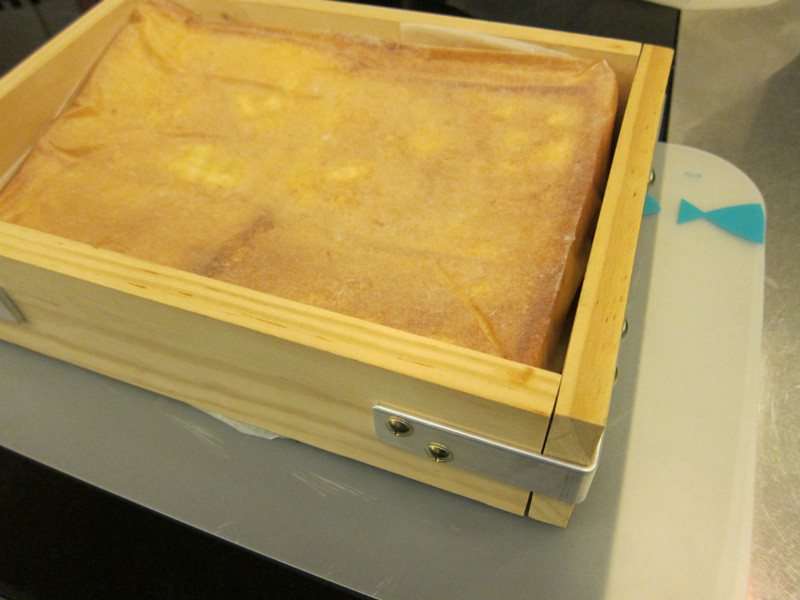 ������۵��������