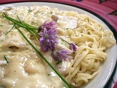 ���͸���ɳ˾������