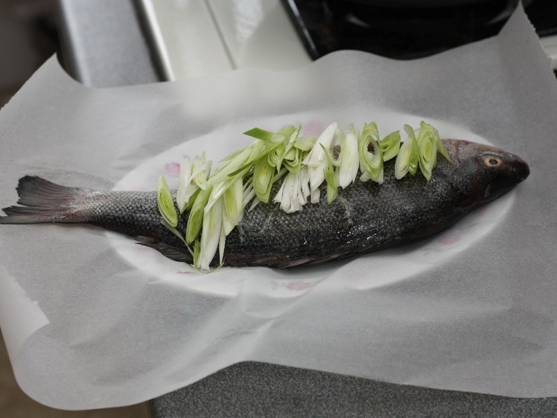 ֽ�������������