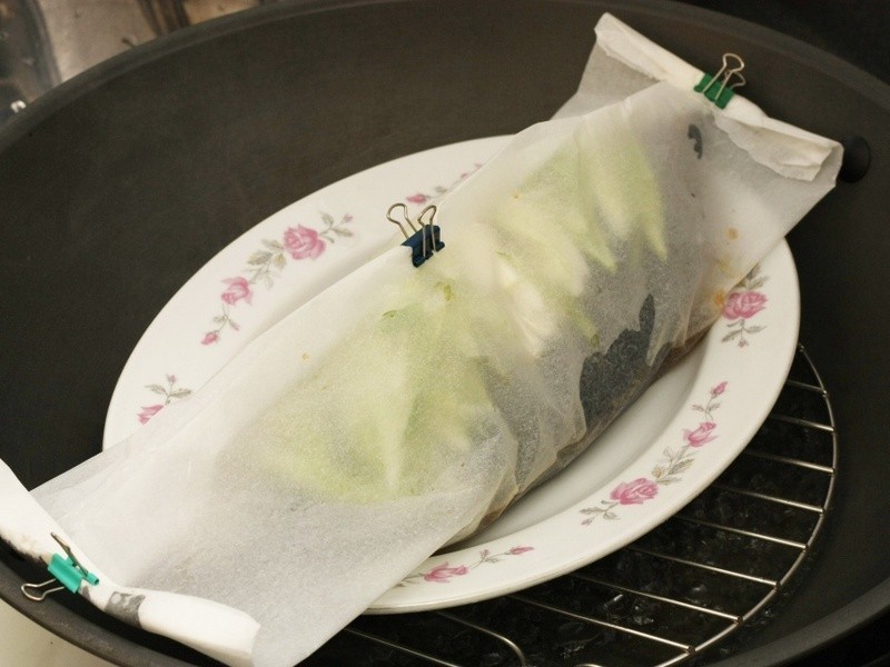 ֽ�������������