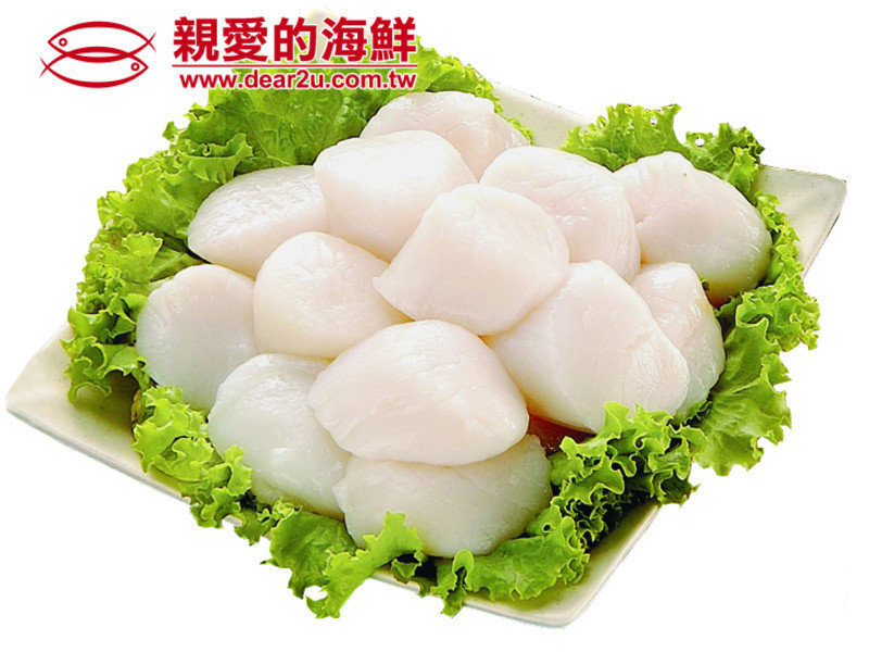 �ں������͸ɱ�Ϻ������