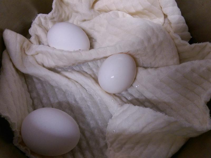 ���ˤ�������ɳ��������