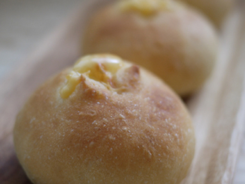 �¹��㳦����ʿ������