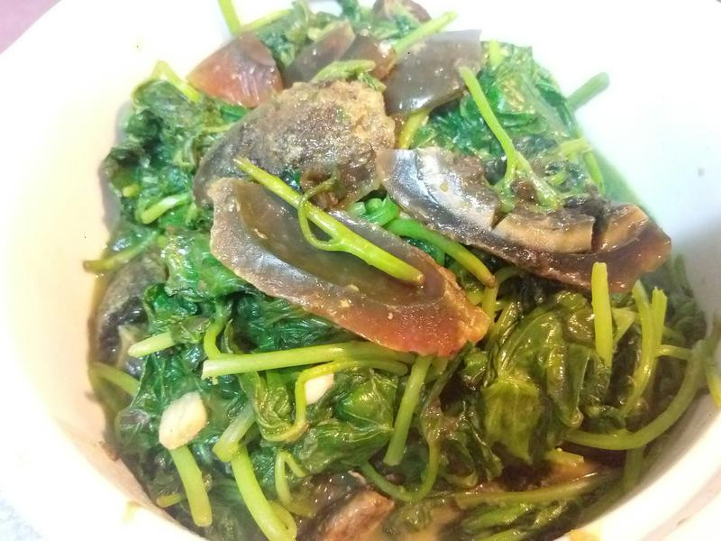 �ع�Ҷ��Ƥ��������