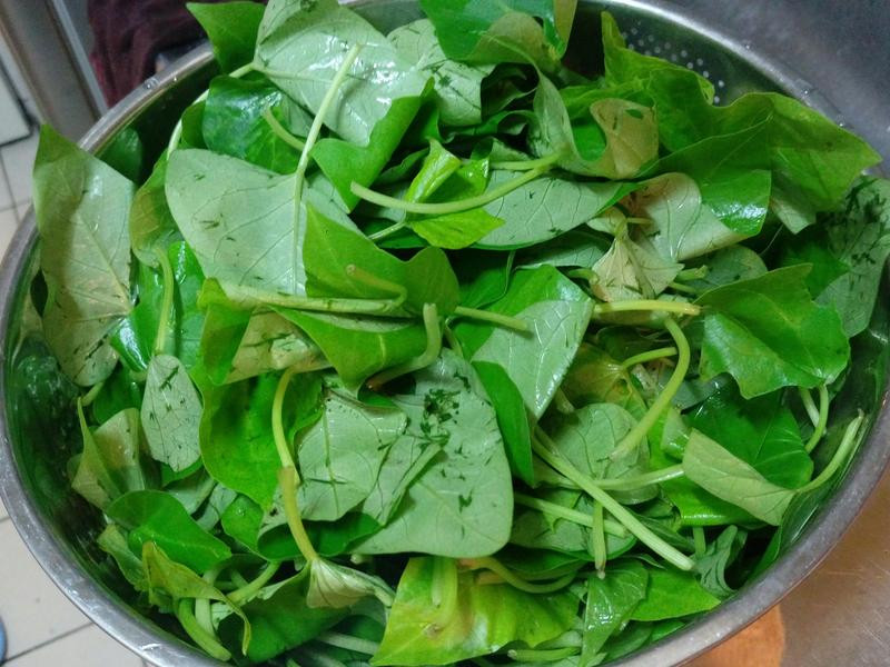 �ع�Ҷ��Ƥ��������