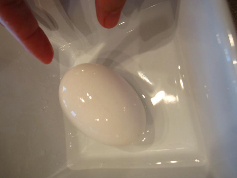 �����̵�������