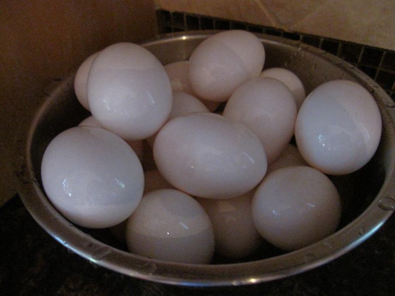 �����̵�������