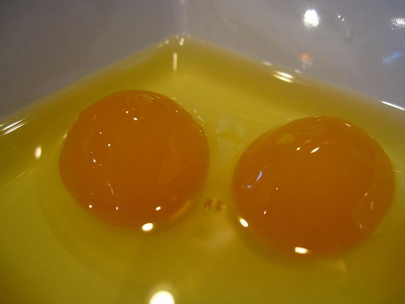 �����̵�������