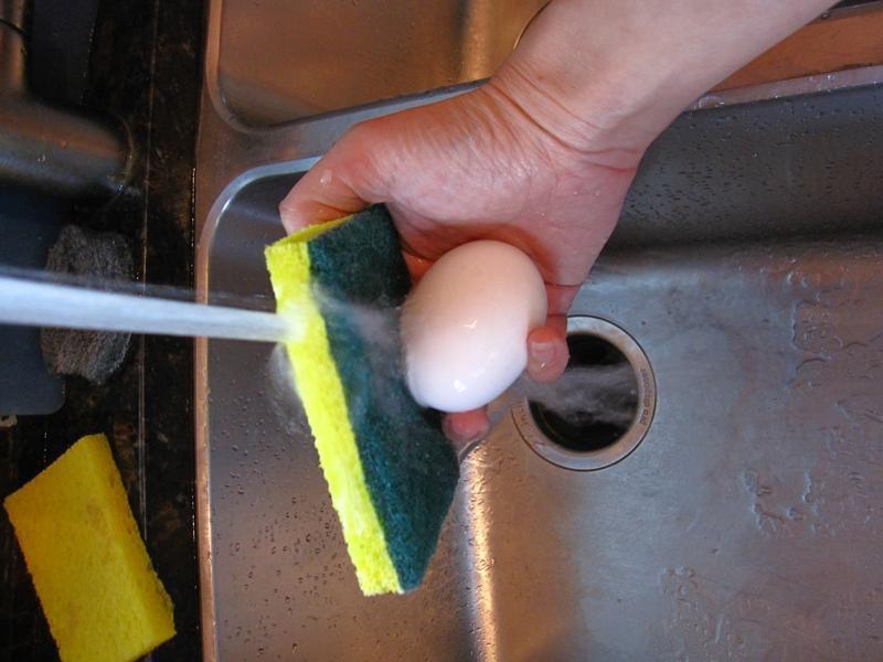 �����̵�������