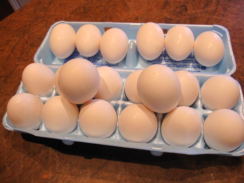 �����̵�������