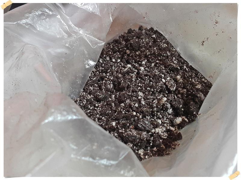 �ܼ���ԽݮOREOĽ˹������