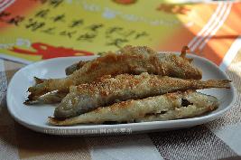 ����ɳ���������