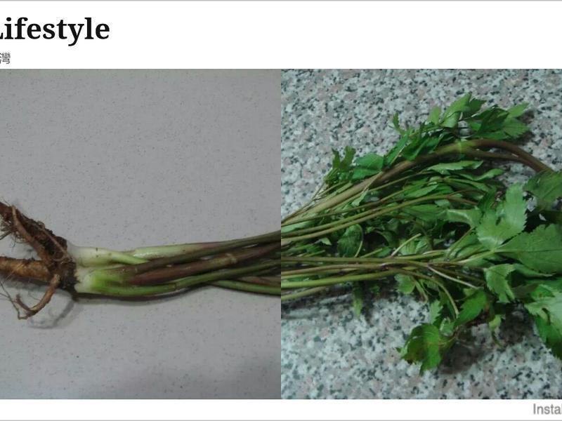 ɽ���������׵�����