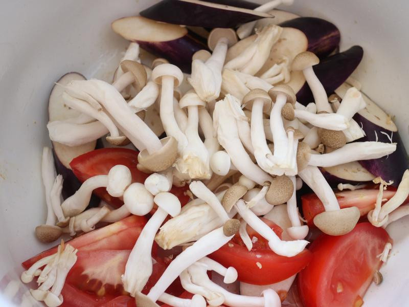 ̩ʽ�����������������