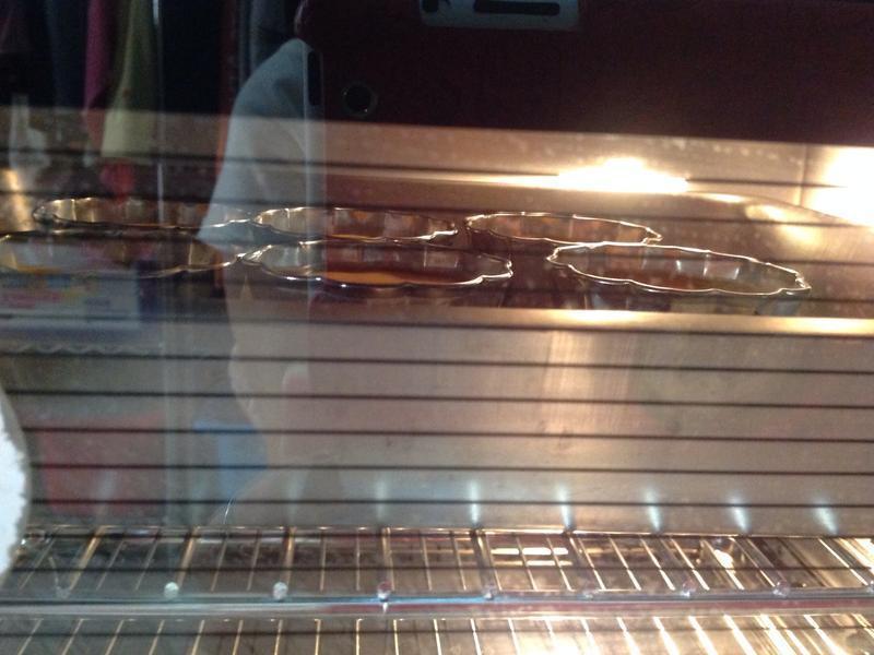 ����ţ�̿�����������