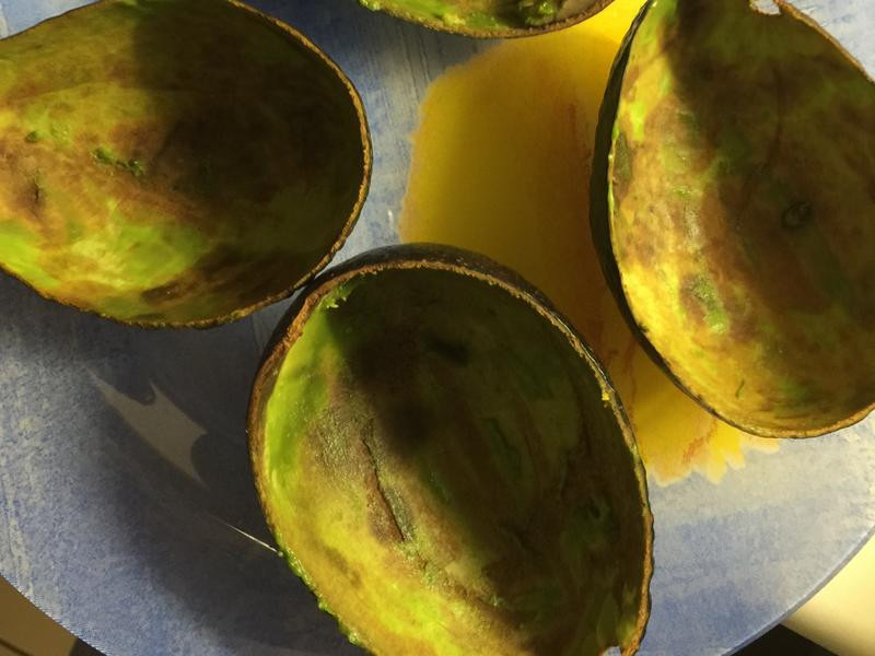 ������ɳ��������