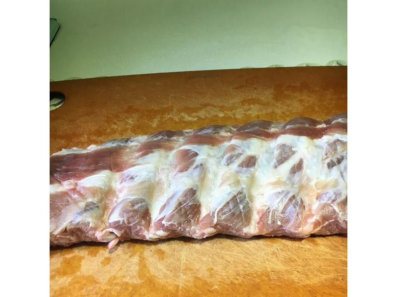 ���ʿ������йǵ�����