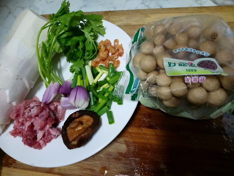 ������˿���������