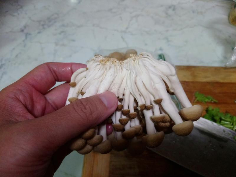 ������˿���������