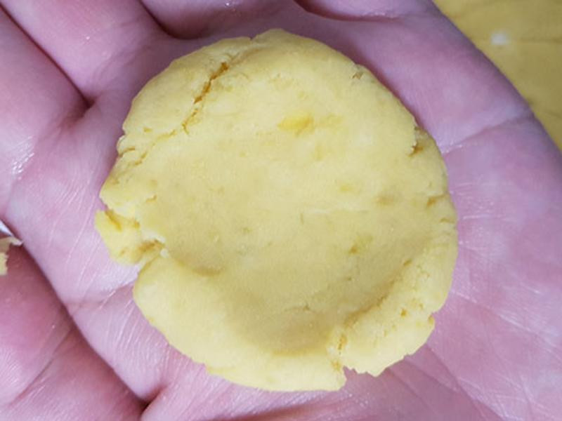 ����������ʿ�������