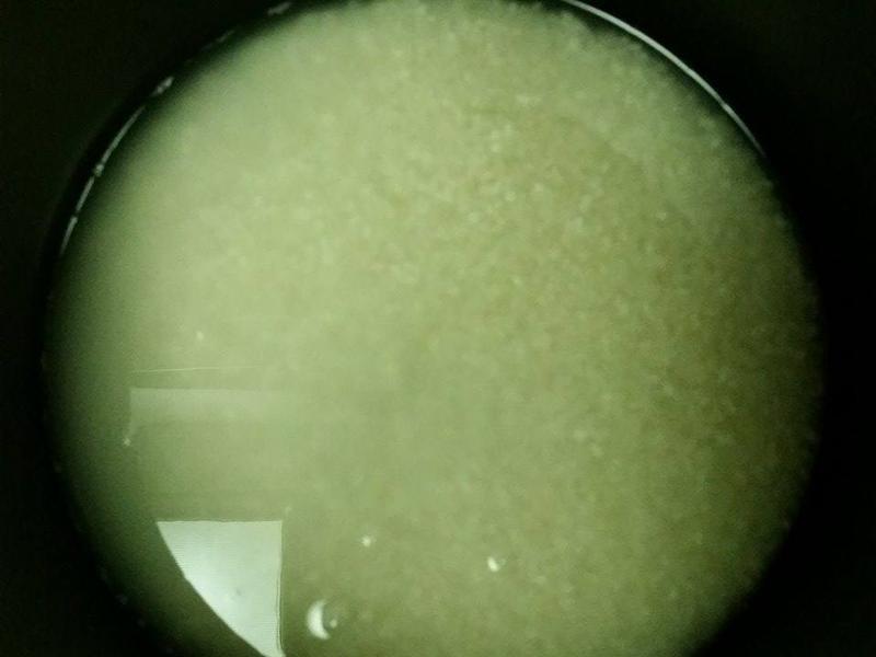 �������ѷ�������Ϻ�ʰ������