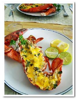 ���ҿ���Ϻ������