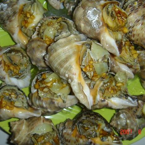 �������������