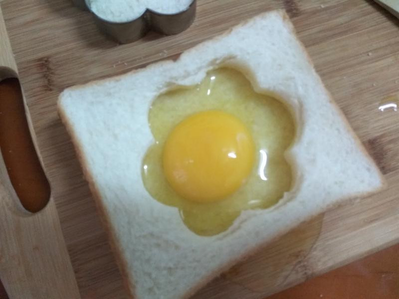 ���̫����������