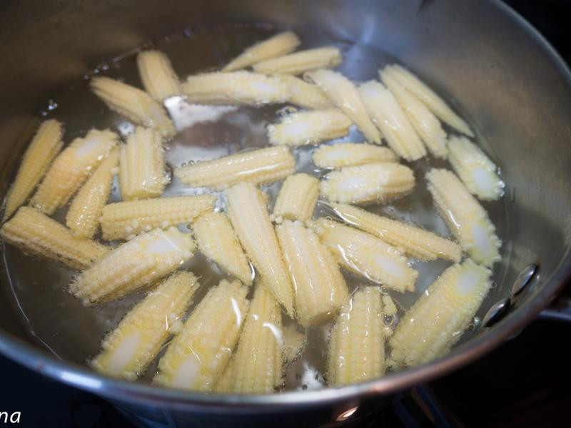 �h�������������