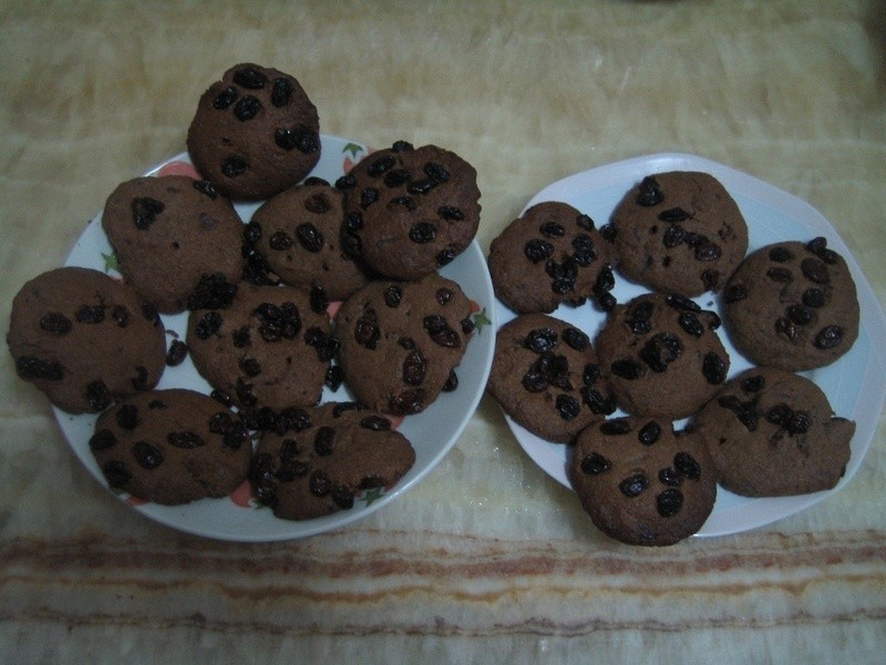 ?手工全麦巧克力葡萄饼干?的做法