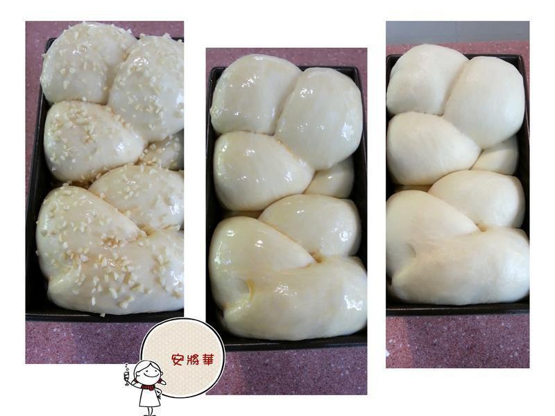 ֥��춹�Ÿ������˾������