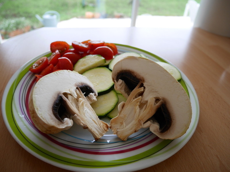 ��������ʳ������������